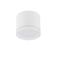 Spot sufitowy SILBA WHITE szer. 8,5cm GX53 | biały 10476