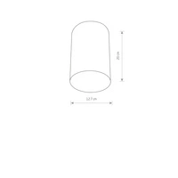 Lampa sufitowa/spot POINT PLEXI WHITE L śr.13cm 6528