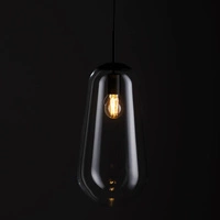 Lampa wisząca PEAR L 59cm E27 | czarny/transparentny 7797