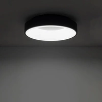 Plafon NIKKI ROUND LED śr. 38cm 32W barwa neutralna 4000K | czarny 11210