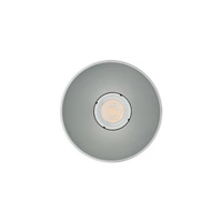 Spot sufitowy designerski tuba POINT TONE biały/srebrny śr. 12,7 cm 8220