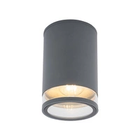 Lampa sufitowa ROCK PRO I wys. 18,7cm E27 IP44 | grafitowy 10687