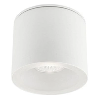 Zewnętrzny spot HEXA white tuba GU10 9564
