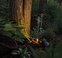 Reflektor ogrodowy BUSH wbijany 3401