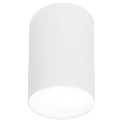 Lampa sufitowa/spot POINT PLEXI WHITE L śr.13cm 6528