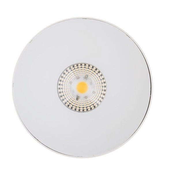 Lampa sufitowa plafon IOS 20W LED 3000K kąt 36° | biały 8740