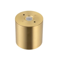 Spot sufitowy CEARA 8,5cm GU10 | mosiądz 10716