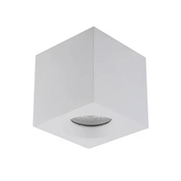 Spot sufitowy PARANA 8,5cm GU10 | biały 10719