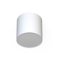 Lampa sufitowa/spot POINT PLEXI WHITE M śr.13cm 6525