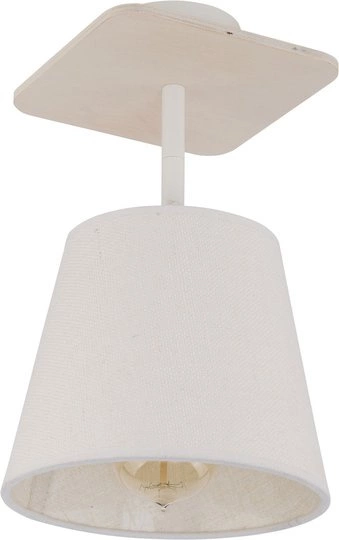 Lampa sufitowa AWINION I WHITE 9282