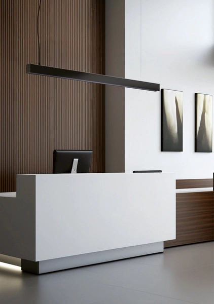 Lampa sufitowa CL HALL PRO LED 150cm 40W 4000K neutralna | czarny 10206