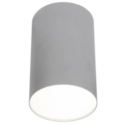 Lampa sufitowa/spot POINT PLEXI SILVER L śr.13cm 6531