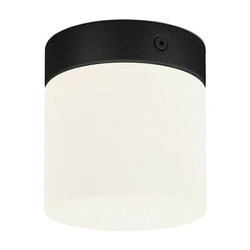 Lampa sufitowa łazienkowa CAYO G9 40W IP44 śr. 10cm | czarny